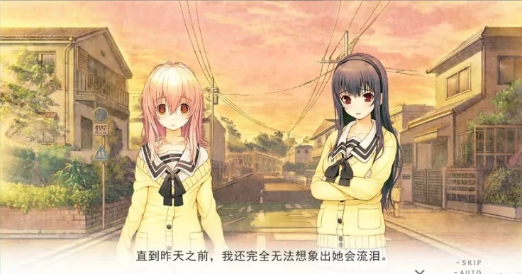 你和她和她的恋爱