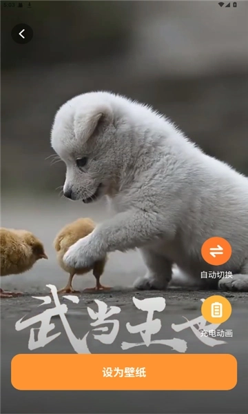 西西壁纸2