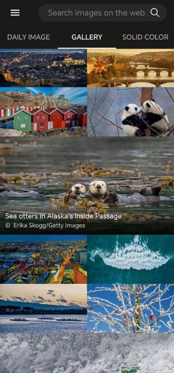 必应壁纸安装包下载