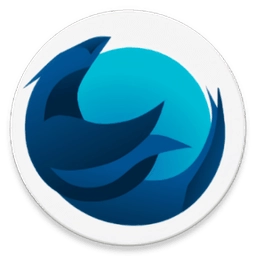 iceraven浏览器最新版