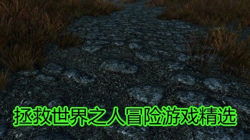 拯救世界之人冒险游戏精选