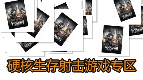 硬核生存射击游戏专区