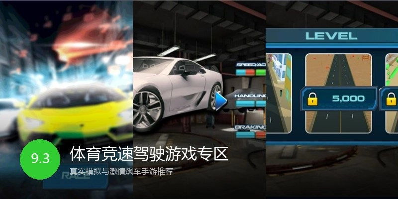 体育竞速驾驶游戏专区