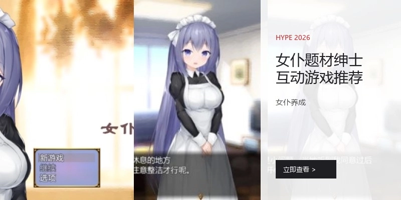 女仆题材绅士互动游戏推荐