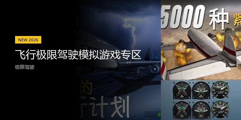 飞行极限驾驶模拟游戏专区