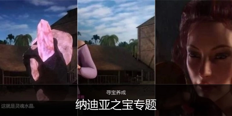 纳迪亚之宝专题