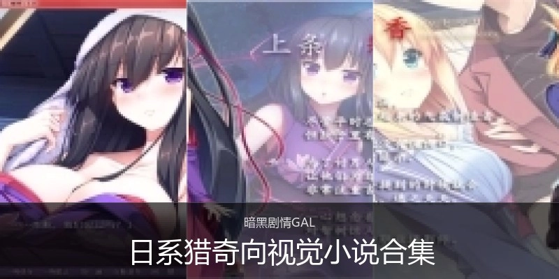 日系猎奇向视觉小说合集