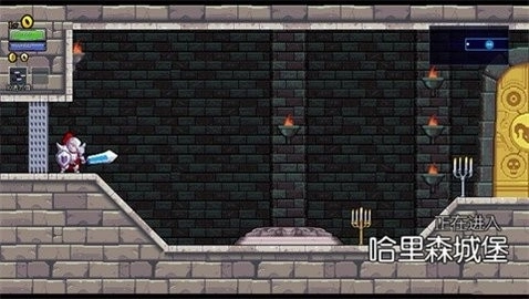 盗贼遗产1手机版图2