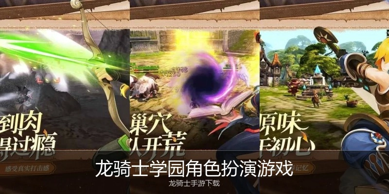 龙骑士学园角色扮演游戏