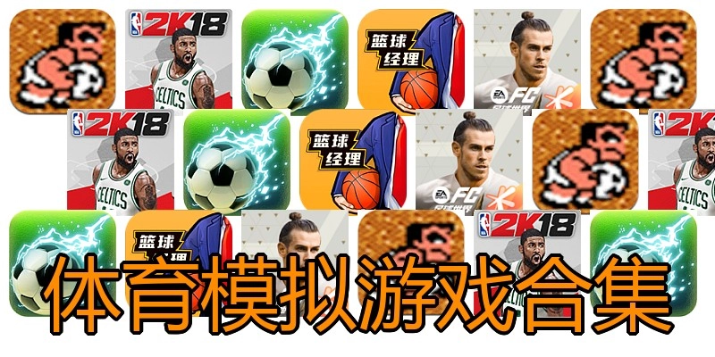 体育模拟游戏合集