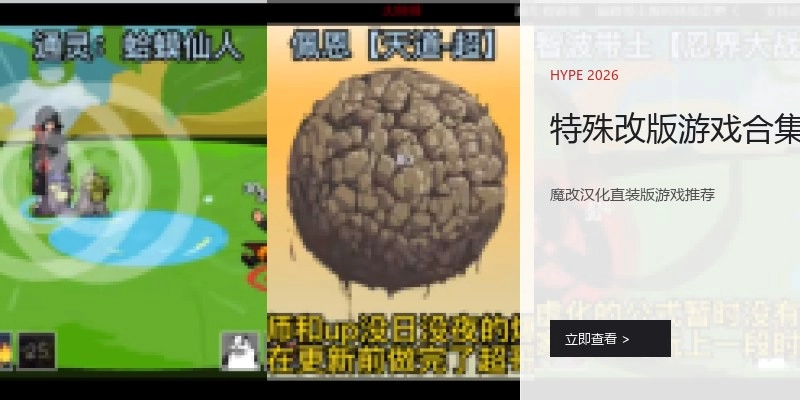 特殊改版游戏合集