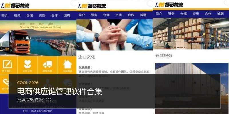 电商供应链管理软件合集