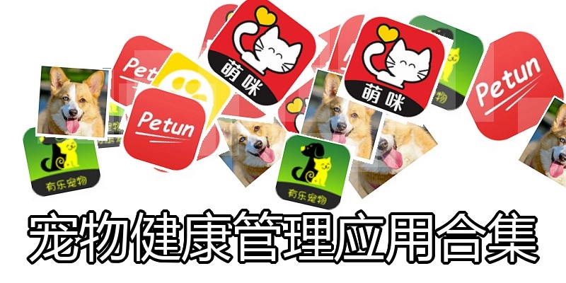 宠物健康管理应用合集