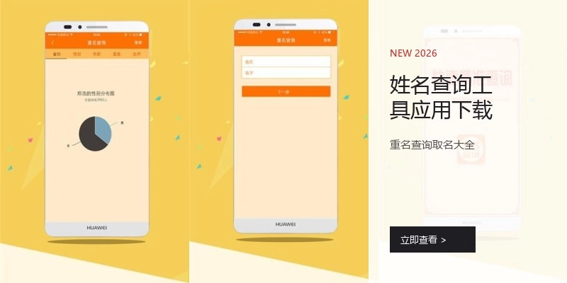 姓名查询工具应用下载
