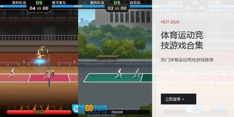 体育运动竞技游戏合集