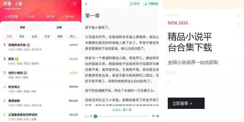 精品小说平台合集下载