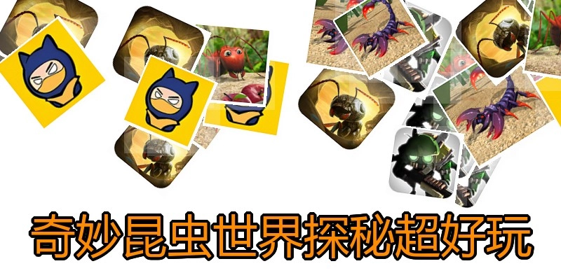 奇妙昆虫世界探秘超好玩