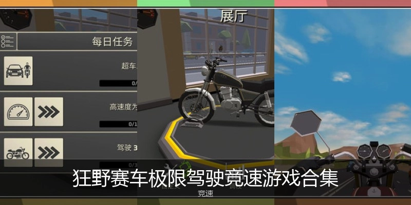 狂野赛车极限驾驶竞速游戏合集