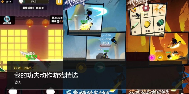 我的功夫动作游戏精选