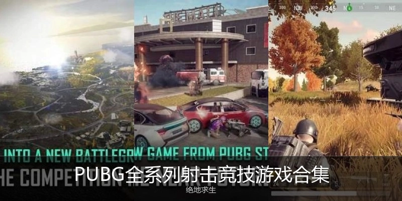 PUBG全系列射击竞技游戏合集