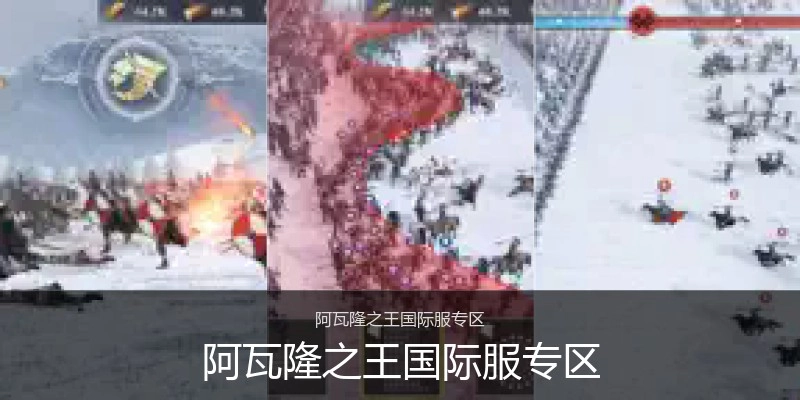阿瓦隆之王国际服专区