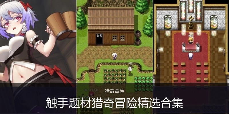 触手绅士游戏精选合集