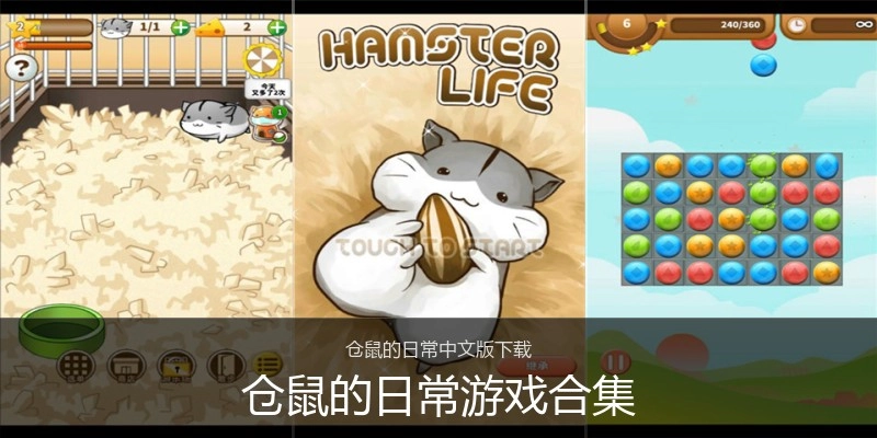 仓鼠的日常游戏合集
