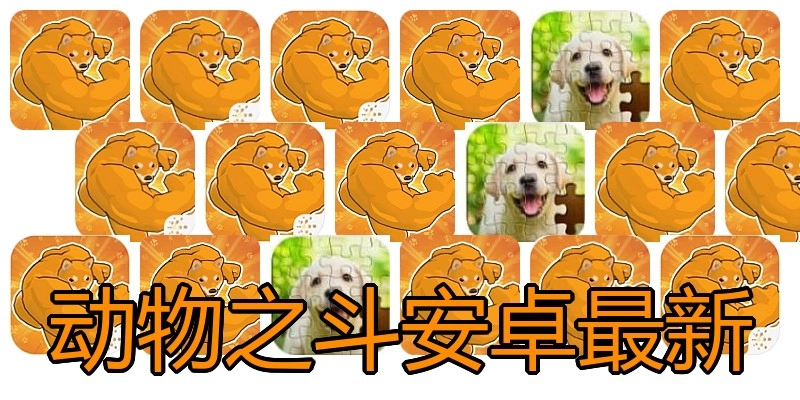 动物之斗安卓最新