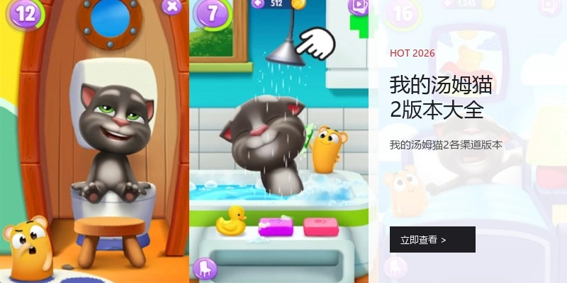 我的汤姆猫2版本大全