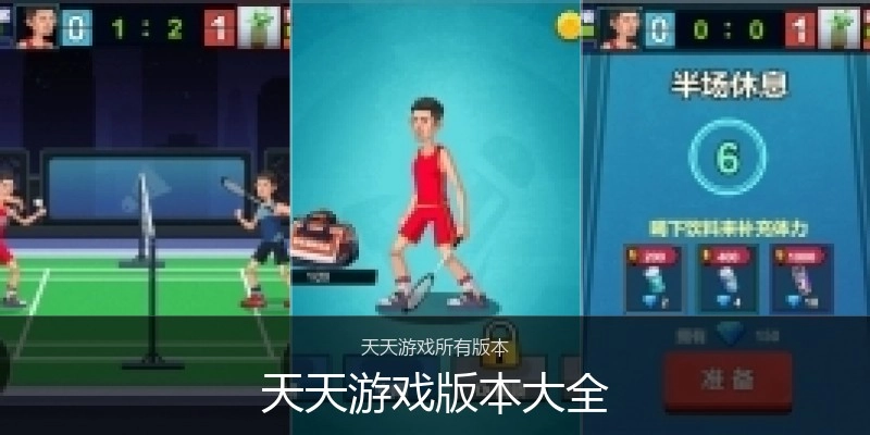 天天游戏版本大全