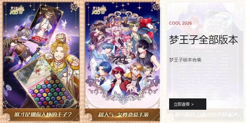 梦王子全部版本
