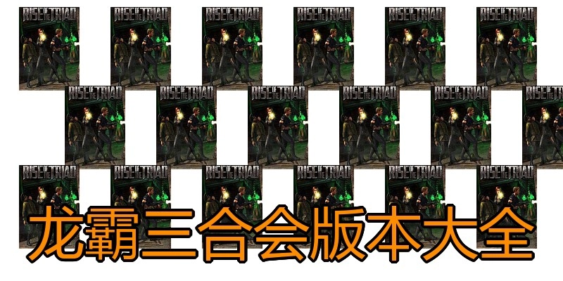 龙霸三合会版本大全
