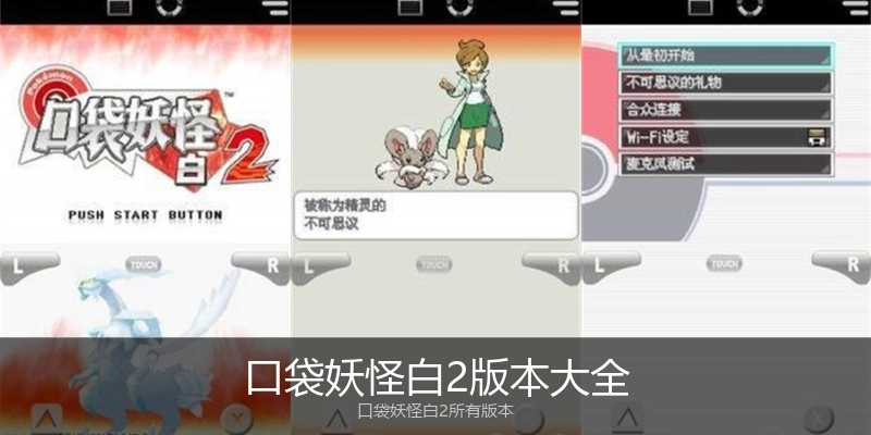 口袋妖怪白2版本大全