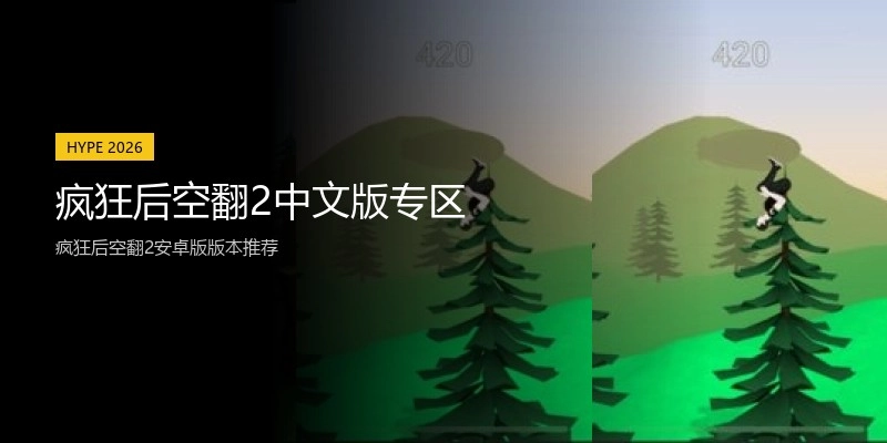 疯狂后空翻2中文版专区