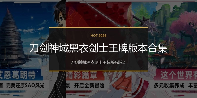 刀剑神域黑衣剑士王牌版本合集