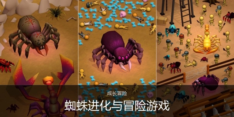 蜘蛛进化与冒险游戏