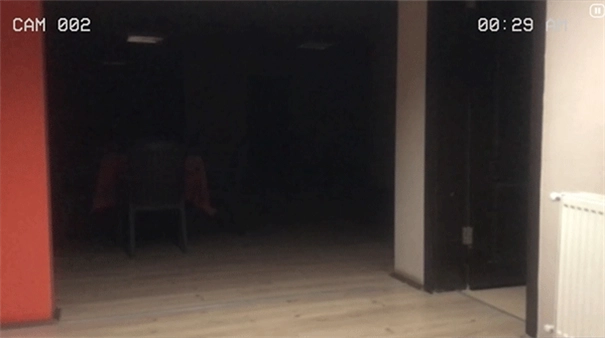 伪人监控模拟器3