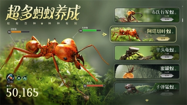 小小蚁国免费版下载