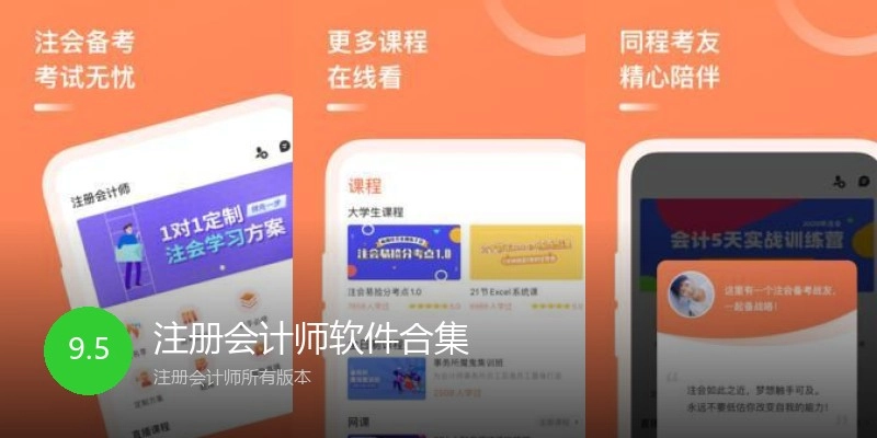 注册会计师软件合集