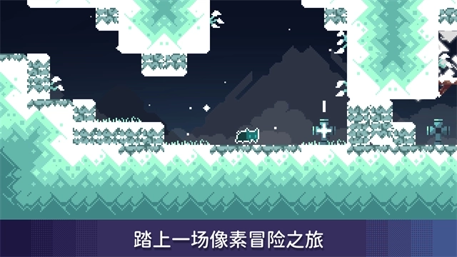 无名的猫1