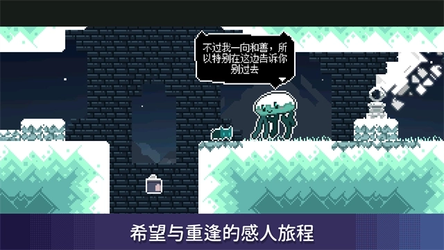 无名的猫2