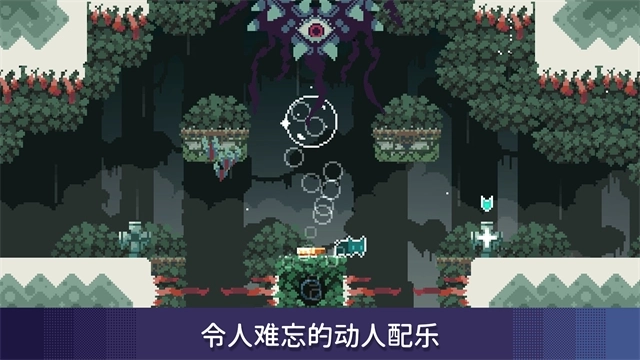 无名的猫4