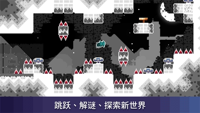 无名的猫5