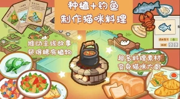 猫屎香最新版3
