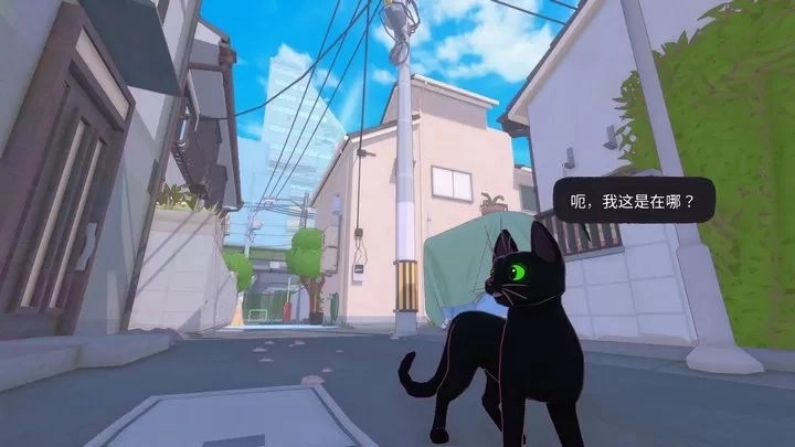 小猫咪大城市汉化版2