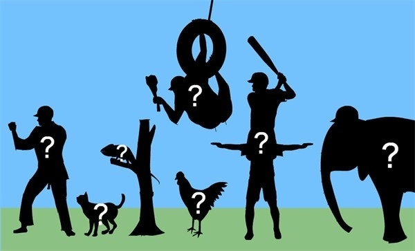 奇怪的击球手完整版下载