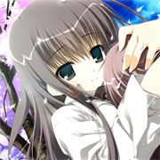 樱之诗安卓直装冷狐