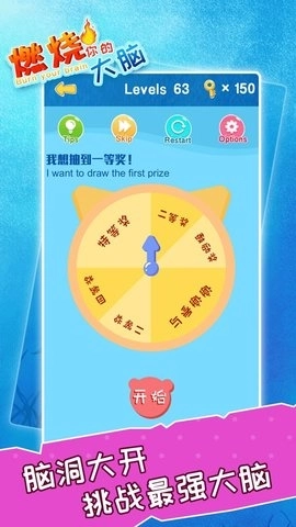 燃烧你的大脑中文版下载