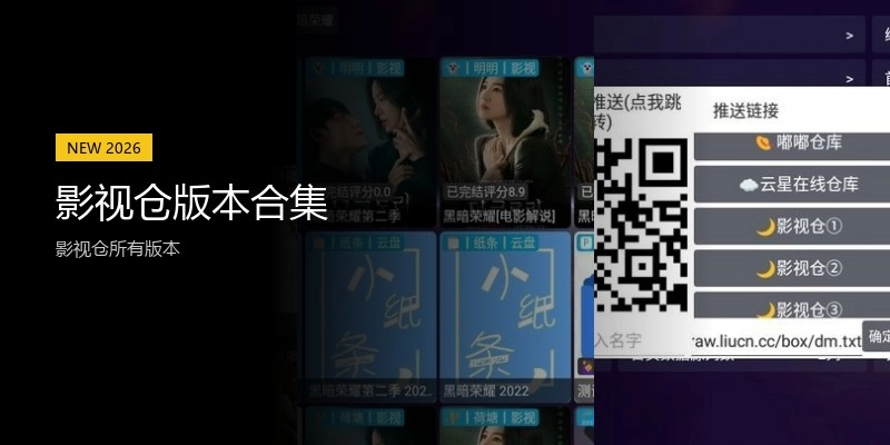 影视仓版本合集
