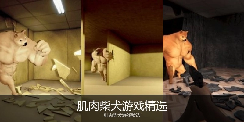 肌肉柴犬游戏精选